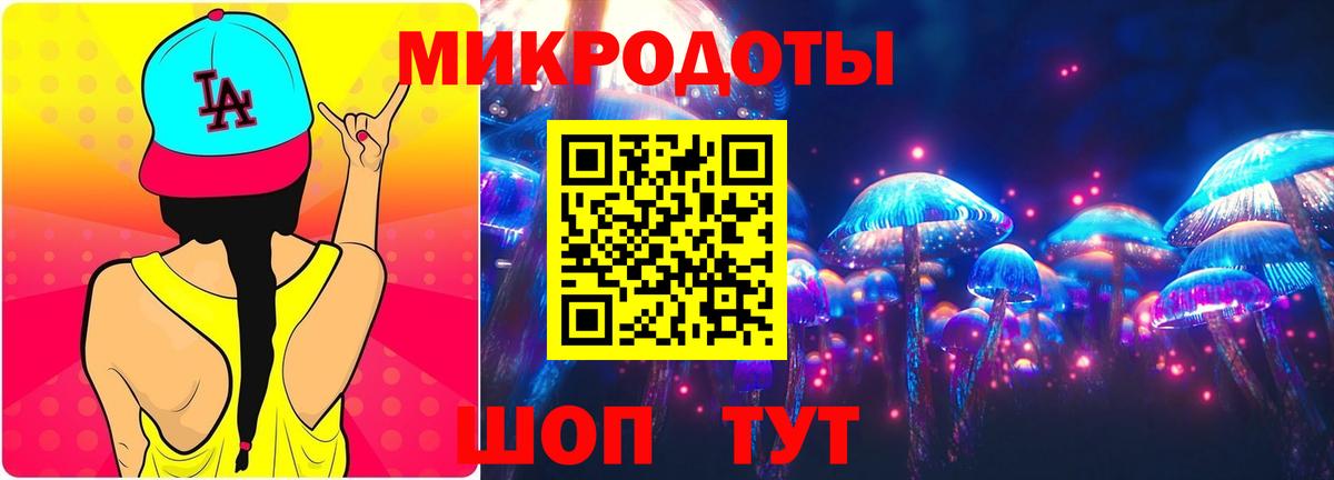 Новокубанск  Псилоцибиновые грибы Psilocybe  Вход с VPN 