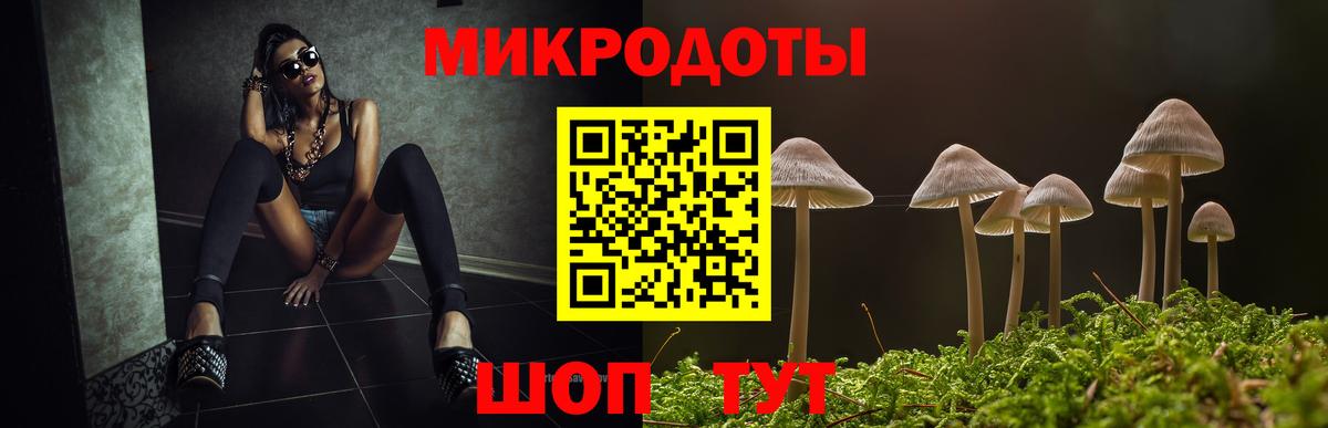 Галлюциногенные грибы ЛСД Новокубанск